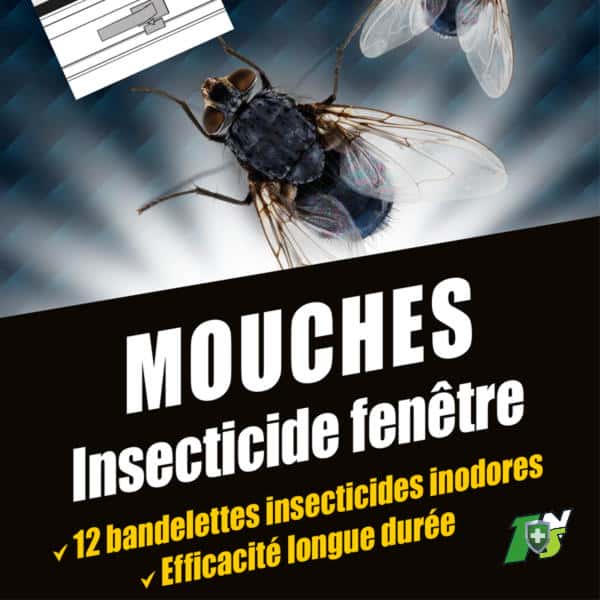 1nuisible1solution Autocollant Anti Mouche Bandelettes Insecticides