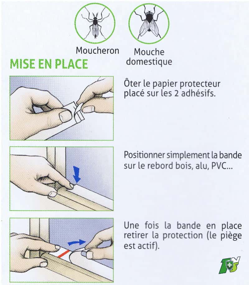 Mouches bandes engluées - Protecta : sticker anti mouches vitre