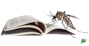 Moustique Tigre : Conseils pratiques pour s’en débarrasser