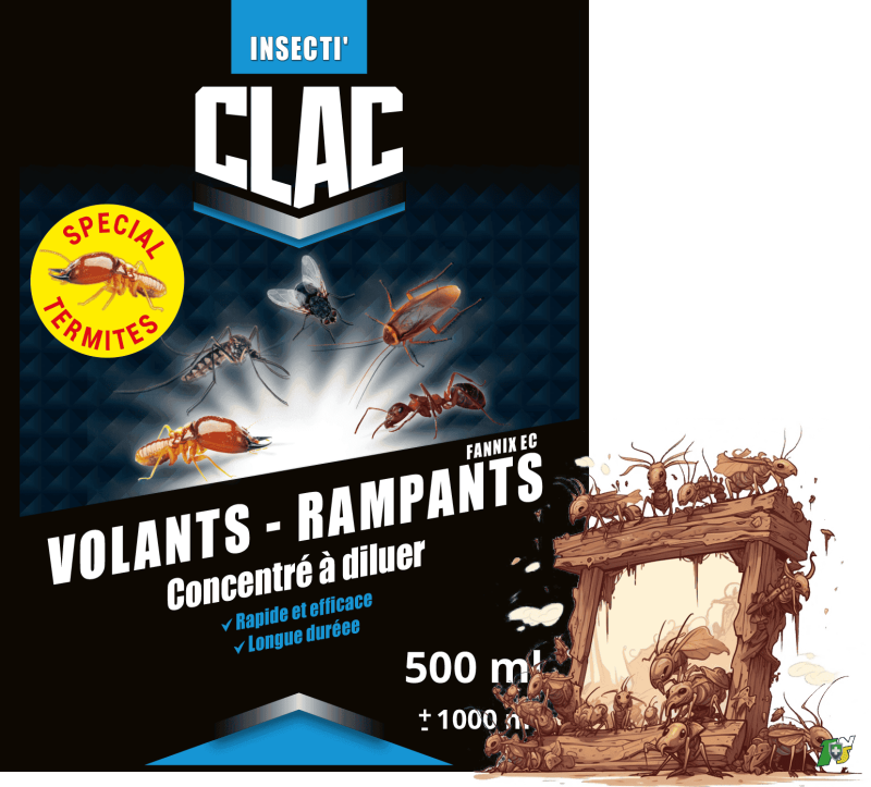 1nuisible1solution.com Insecti'Clac Termites